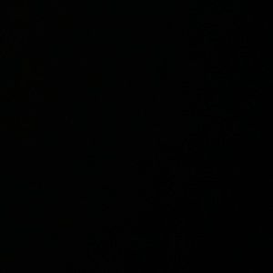 Meet your Posher, Evelyn